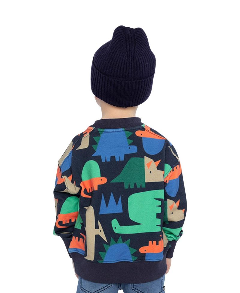 Big Boys (6-12) Fleece Sweatshirt Dinosaur Print