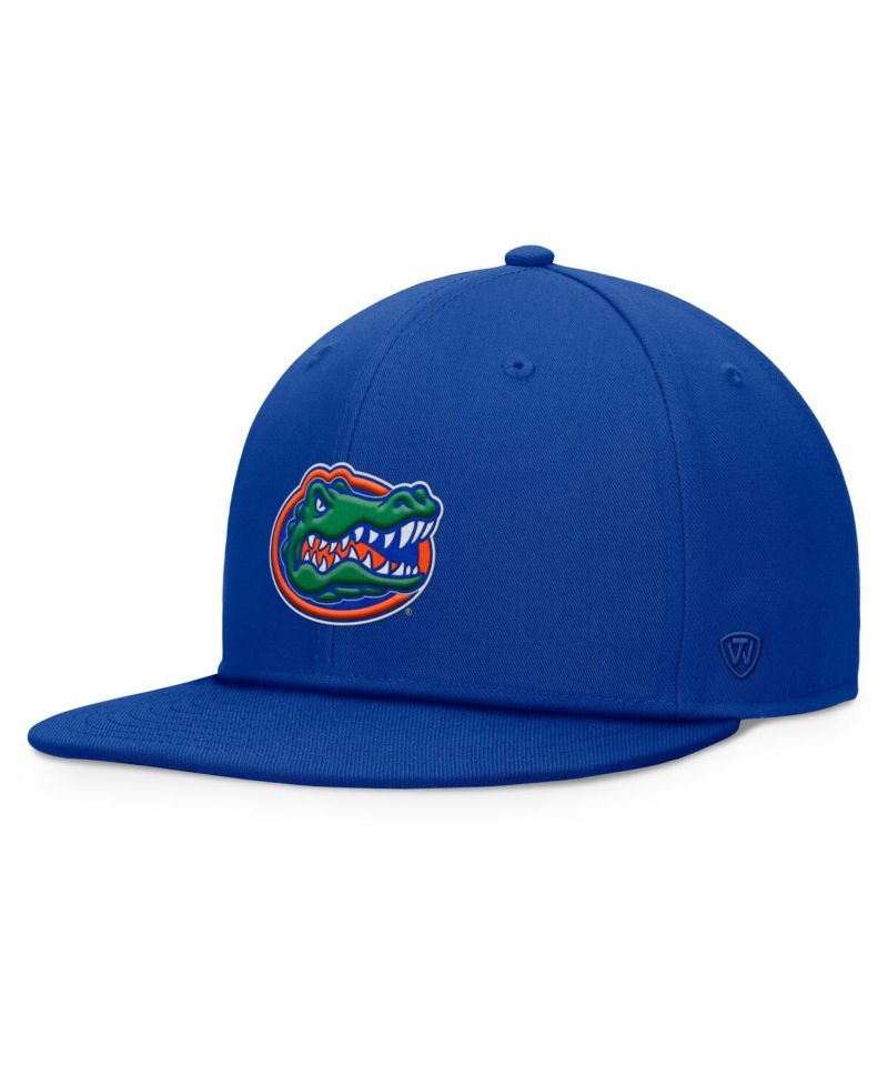 Men's Royal Florida Gators Fundamental Snapback Hat