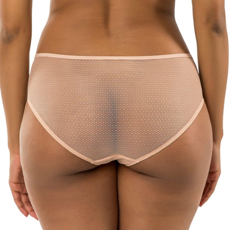 Women's Luxlacy Pretty Lace And Mesh Hipster Panty With Extended Cameo Rose