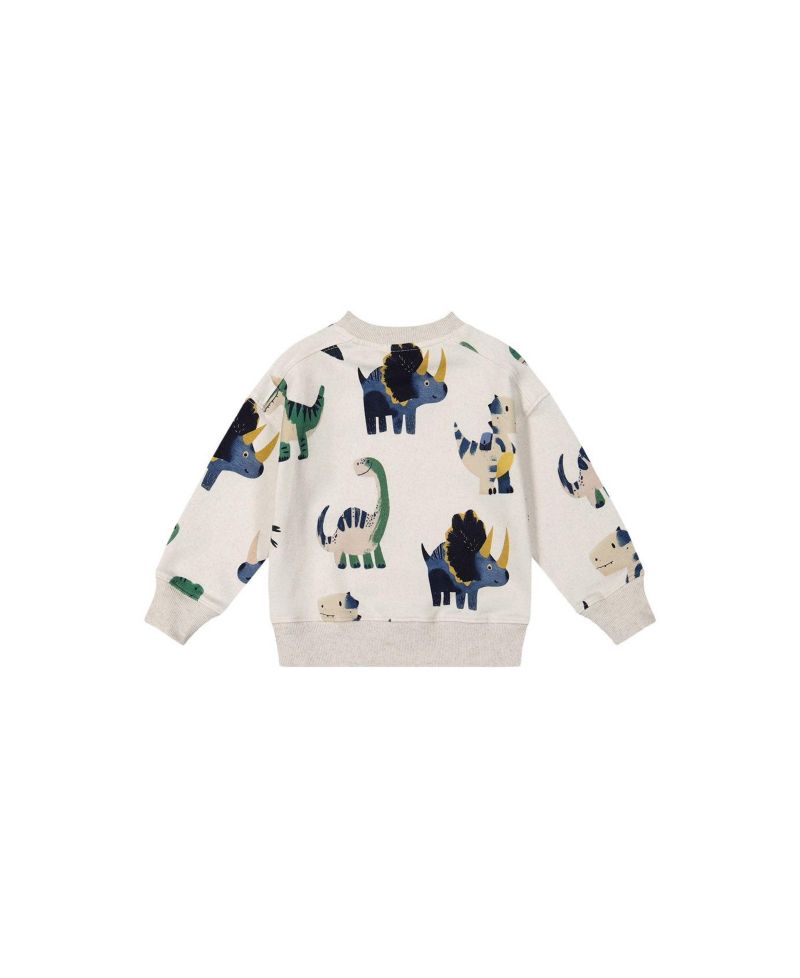 Little Boys (6-8) Fleece Sweatshirt Dinosaur Print