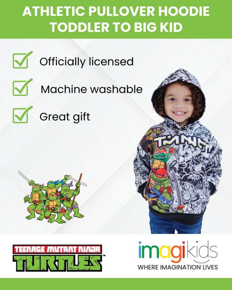 Little Boys Fleece Hoodie