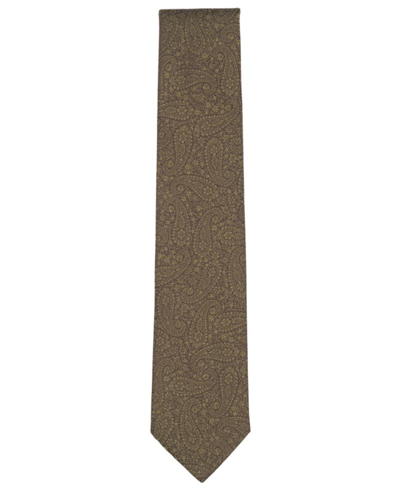 Men's Cottage Paisley Pattern Classic Tie