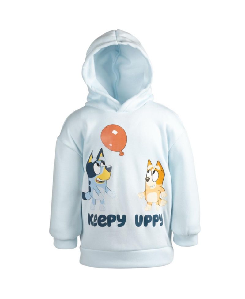 Little Boys Fleece Pullover Hoodie and Pants Outfit Set