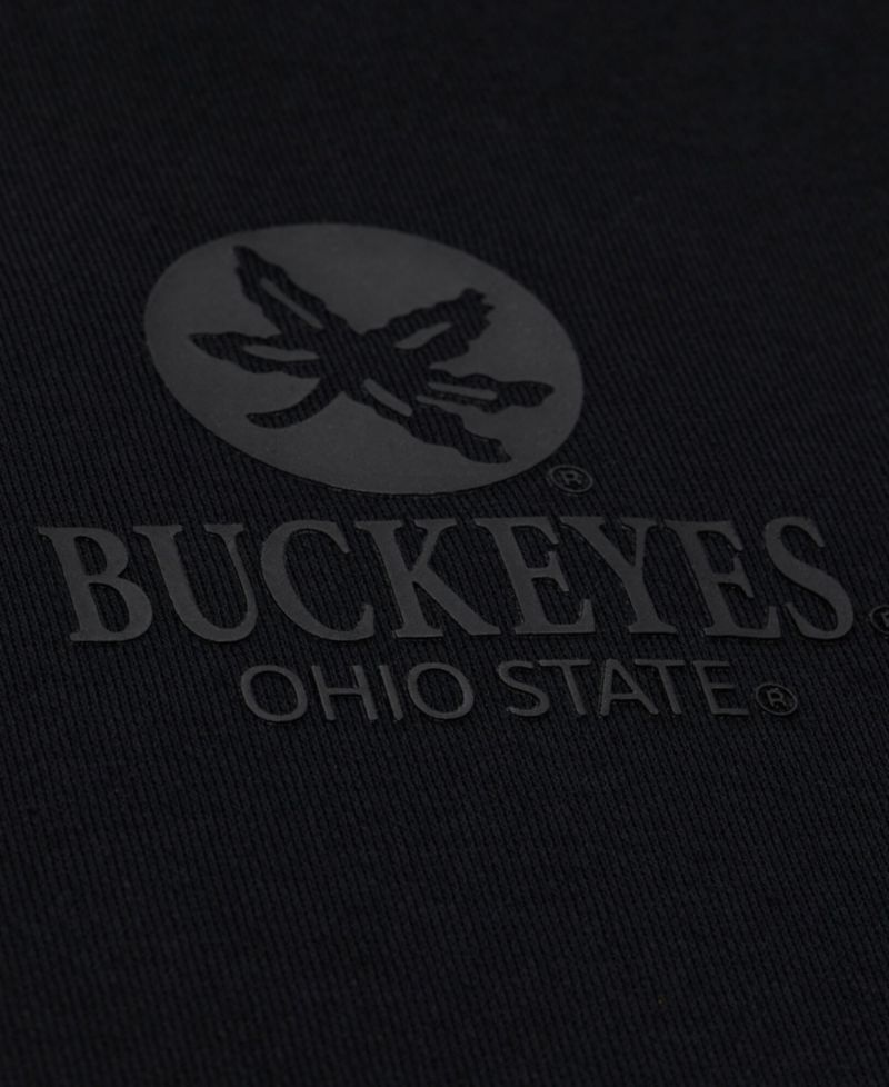 Men's Black Ohio State Buckeyes Monochrome Icon Fleece Hoodie