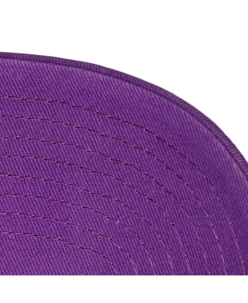Men's Purple Phoenix Suns Washed Out Tonal Logo Snapback Hat
