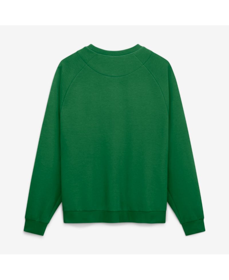 Men's Green Oregon Ducks Premium Performance Raglan Dri-FIT Sweatshirt