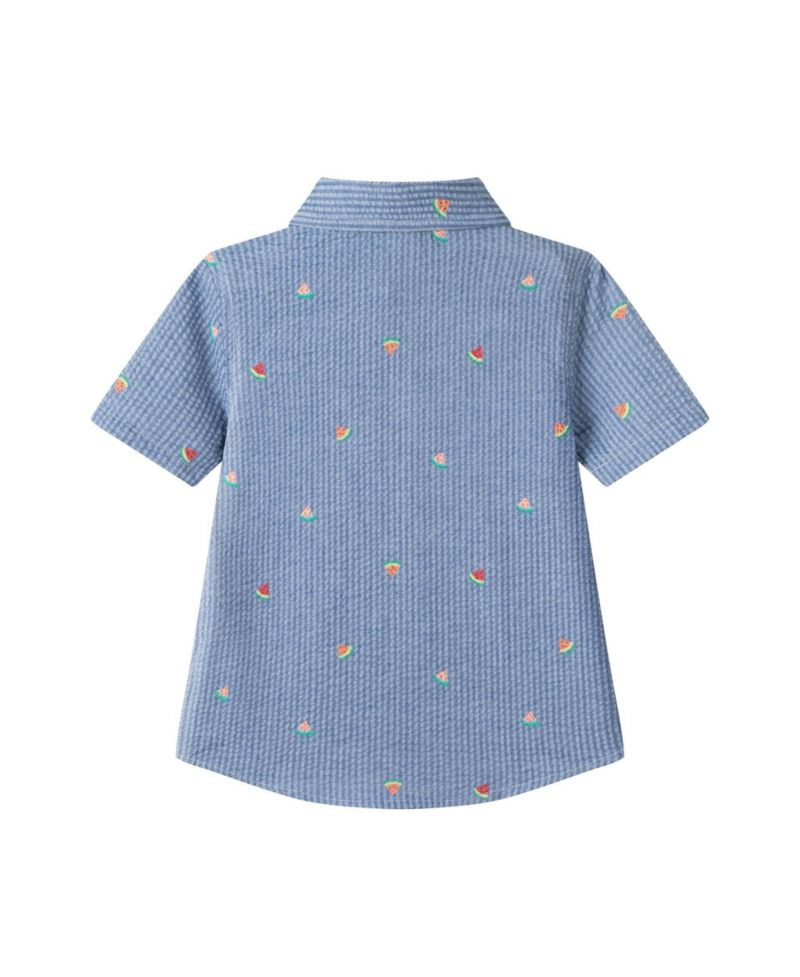Big Boys Watermelon Seersucker Buttondown Shirt
