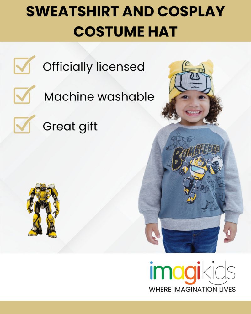 Toddler Boys Toodler 2T-5T Fleece Sweatshirt and Cosplay Costume Hat