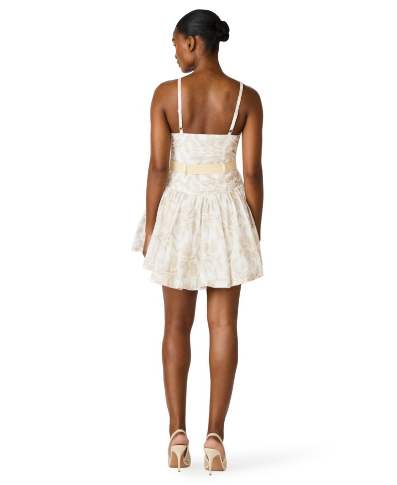 Raffia Floral Embroidered Belted Mini Dress