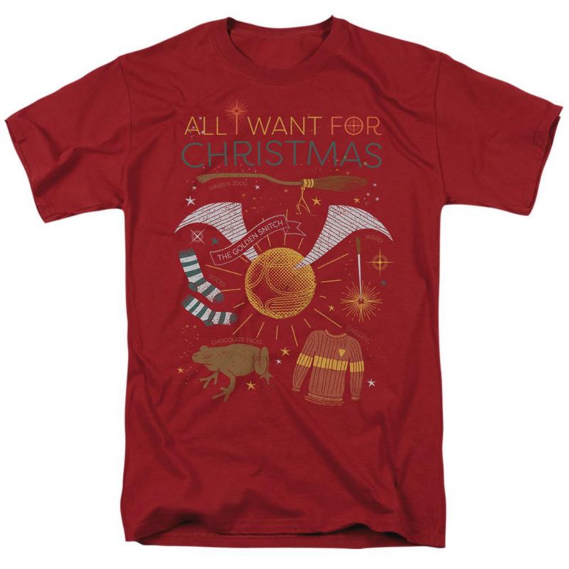 Men's All I Want For Christmas! T Shirt