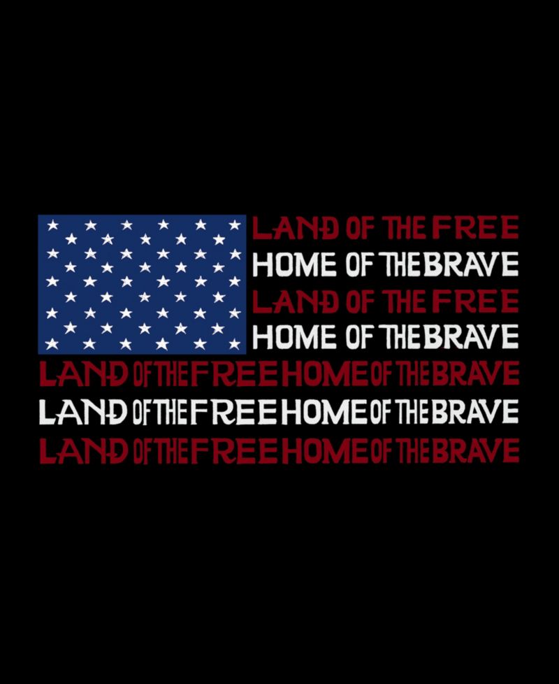 Plus Size Land of the Free American Flag Word Art V-Neck T-Shirt