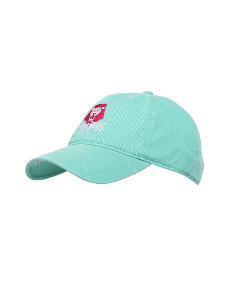 Saja Boys Artwork Hat (Teal)