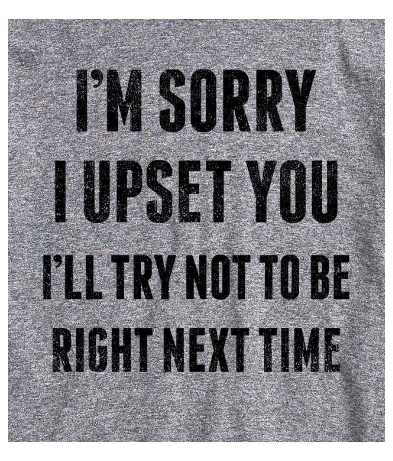 Hybrid Apparel Sorry I Upset You Men's Short Sleeve Tee