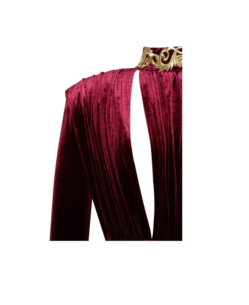Women Zenaida Burgundy Cutout High Slit Velvet Gown