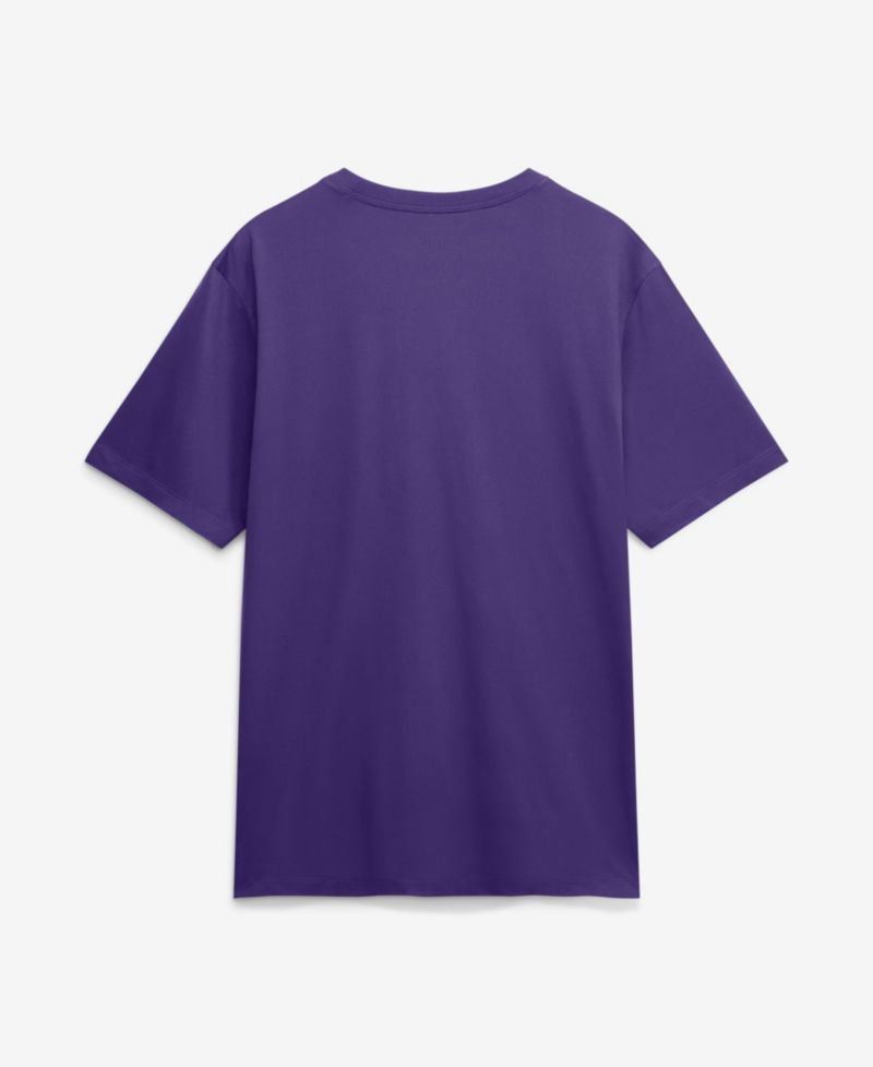 Men's Purple LSU Tigers Just Different Legend Dri-FIT T-Shirt