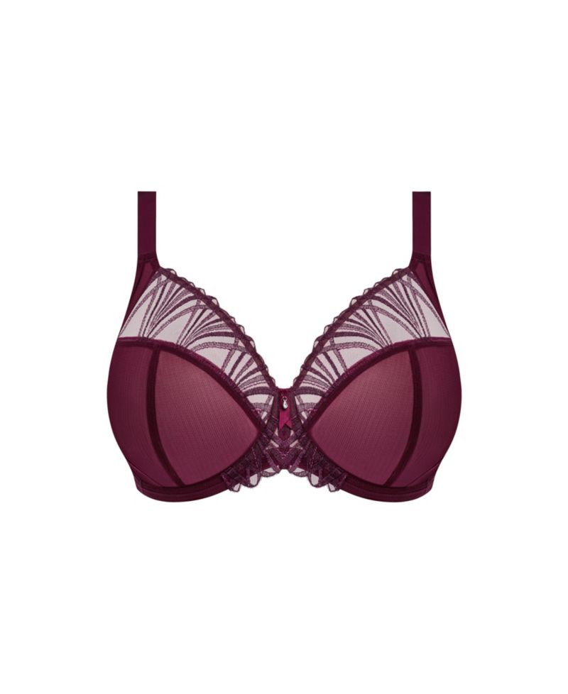 Plus Size Reja Underwire Plunge Bra