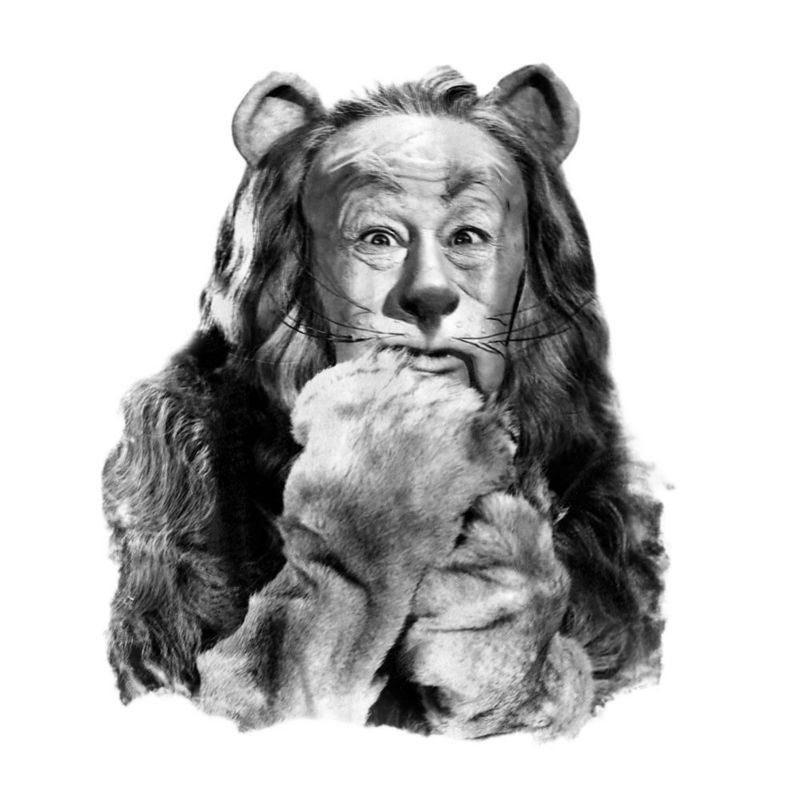 Men's The Cowardly Lion Photograph T-Shirt