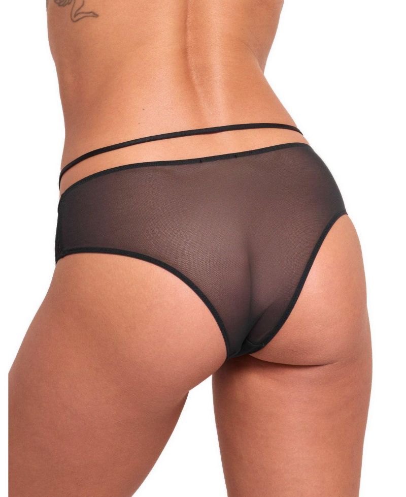 Saveria Cheeky Lace Sheer-Mesh Panty