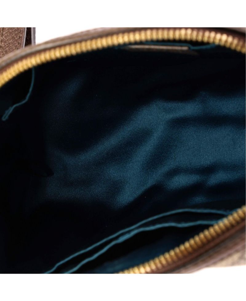 Small Ophidia Dome Shoulder Bag GG Coated Canvas