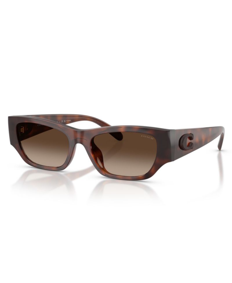 Polarized Cat-Eye Sunglasses HC8470D