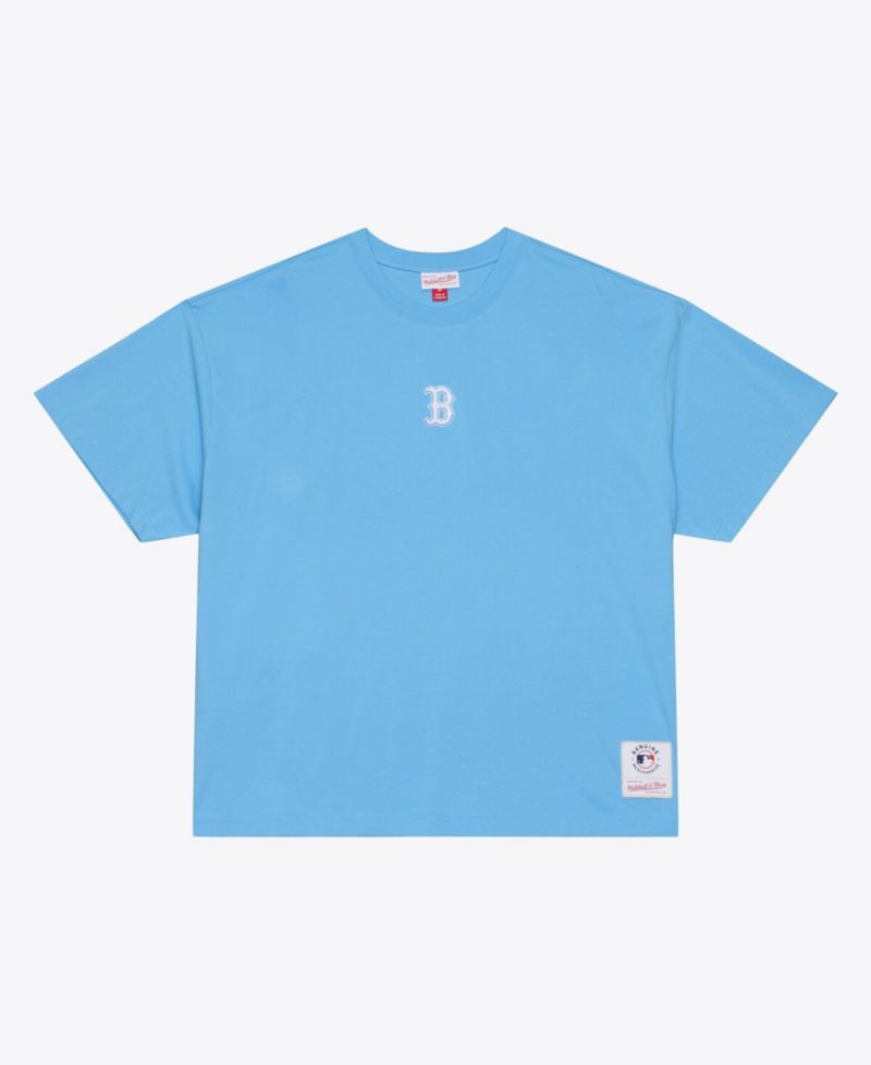 Men's Light Blue Boston Red Sox Insignia Premium T-Shirt
