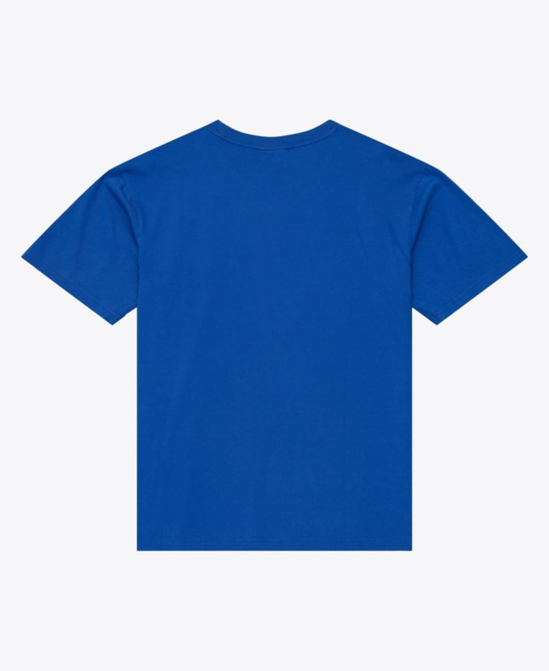 Men's Royal Denver Broncos Core Essentials Micro Logo T-Shirt