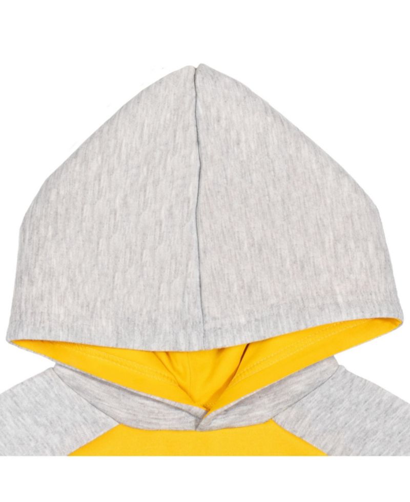 Boys Sonic the Hedgehog Fleece Pullover Hoodie