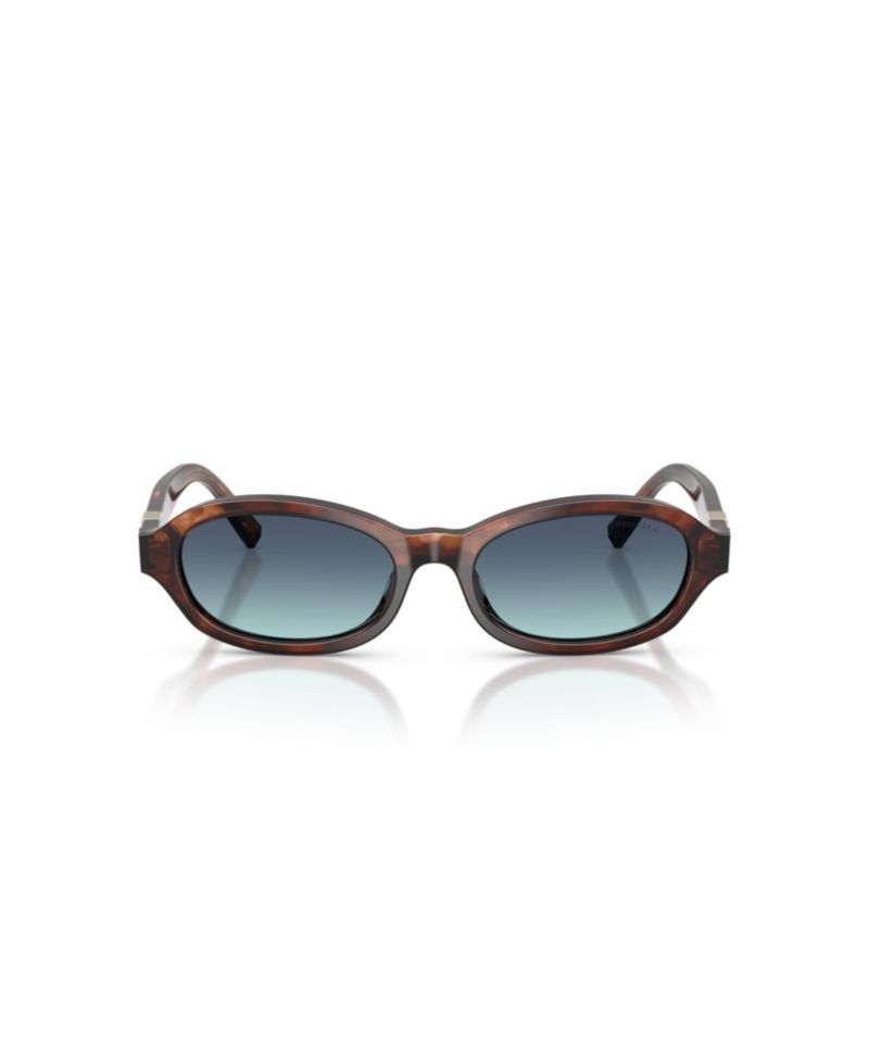 Women's Oval Blue Gradient Lenses Sunglasses TF4270U