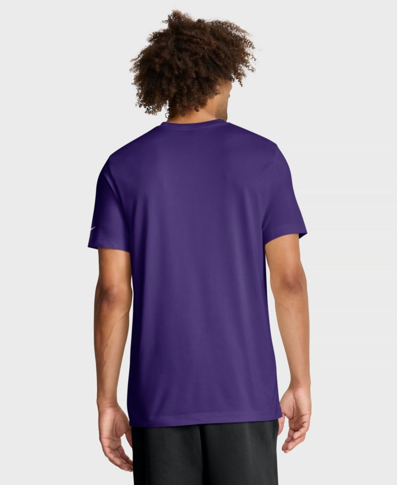 Men's Big & Tall Minnesota Vikings Legend Icon T-Shirt