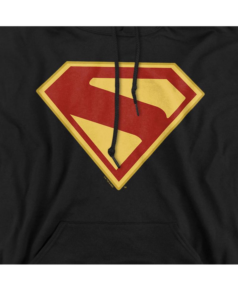 Men's 2025 Logo Graphic Hooded Hoodie