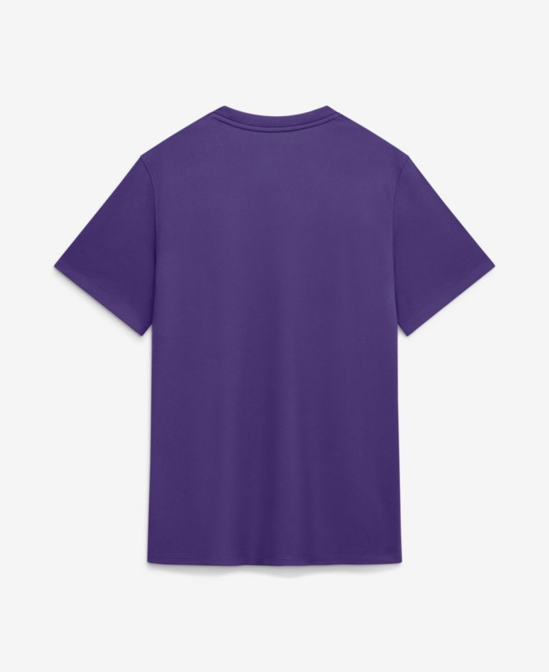 Men's LSU Tigers LSU Sideline Coach Crewneck Short-Sleeve T-Shirt