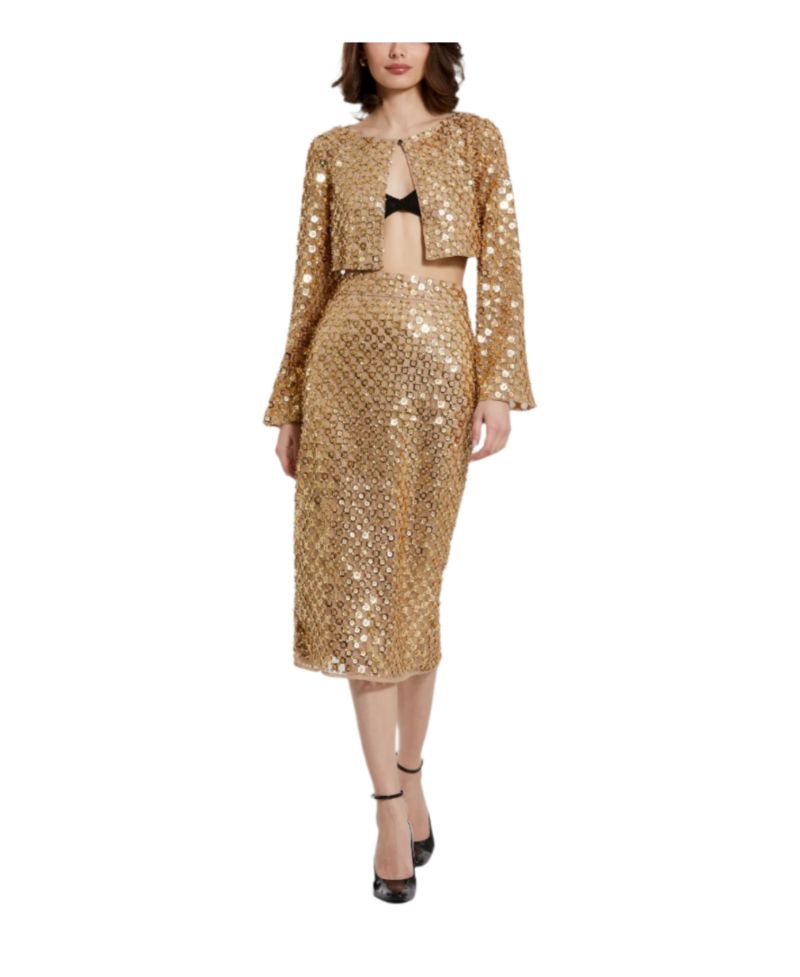 Women's Sequin Embellished Mesh Fitted Midi Pencil Skirt
