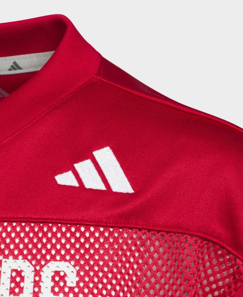 Big Boys and Girls Scarlet Indiana Hoosiers Tailgate Jersey