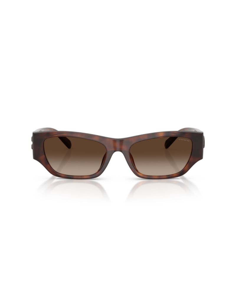 Polarized Cat-Eye Sunglasses HC8470D