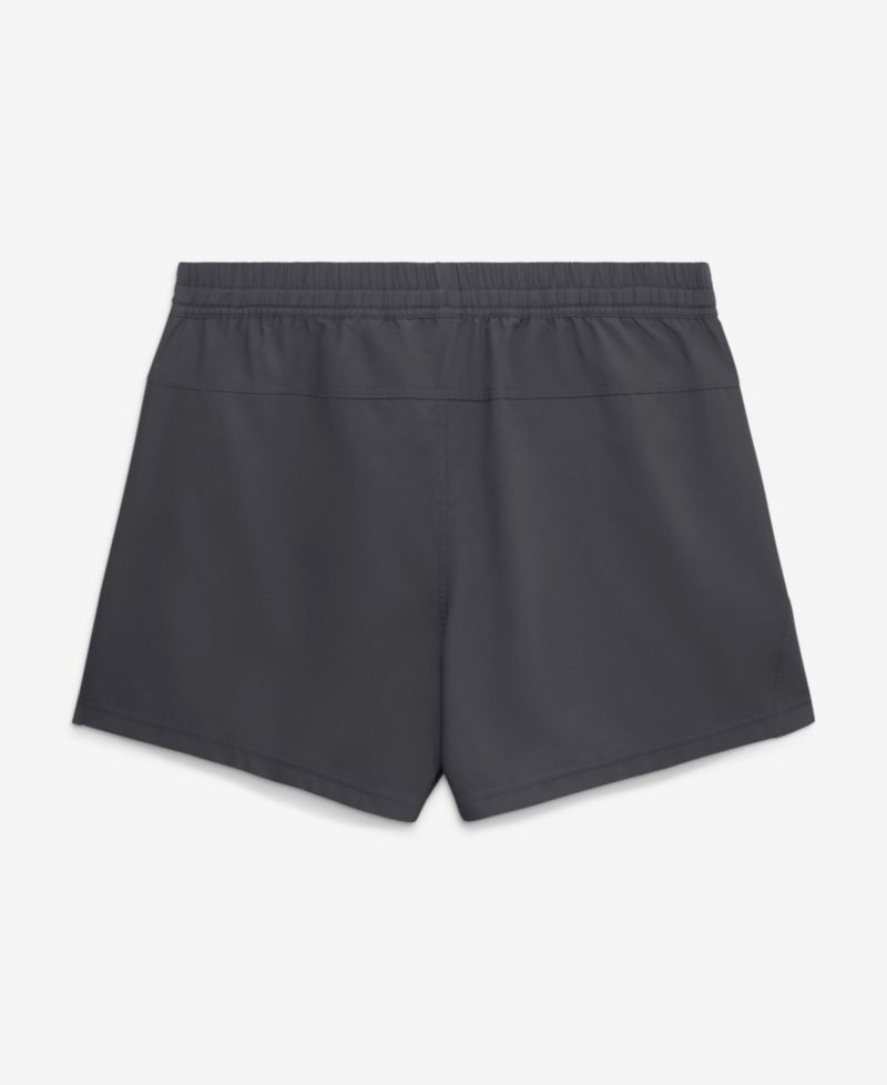 Men's Anthracite Clemson Tigers Primary Logo Form Dri-FIT Shorts