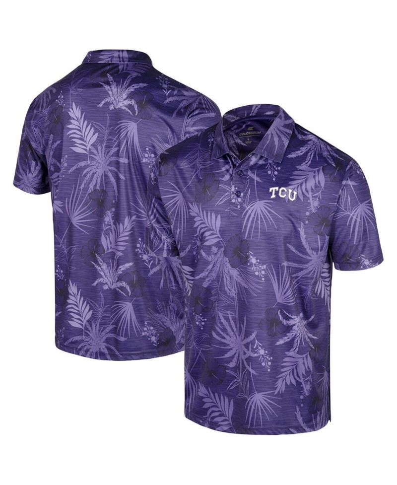 Men's Purple TCU Horned Frogs Palms Team Polo Shirt