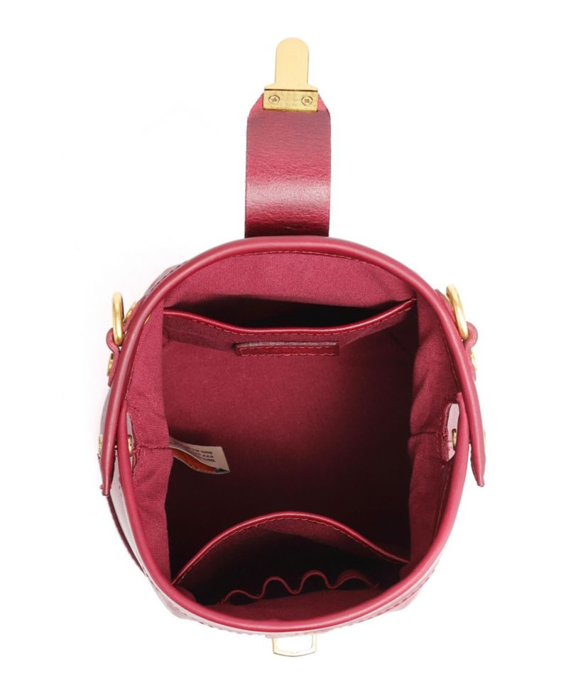 Doctor Mini Leather Bucket Crossbody Bag
