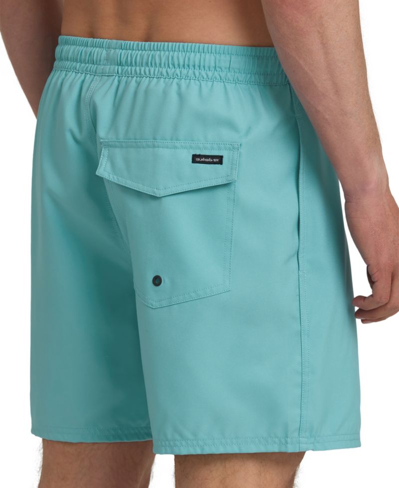 Men's Everyday Swim Shorts