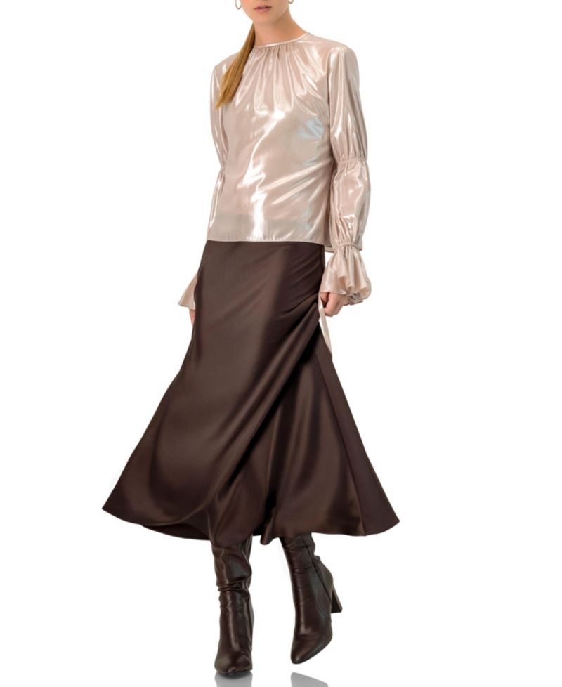 Women's Straight Metallic Sheer Blouse