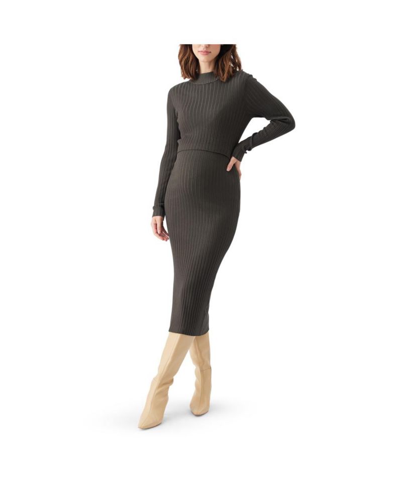 Women's Nella Long Sleeve Rib Nursing Knit Dress Ivy