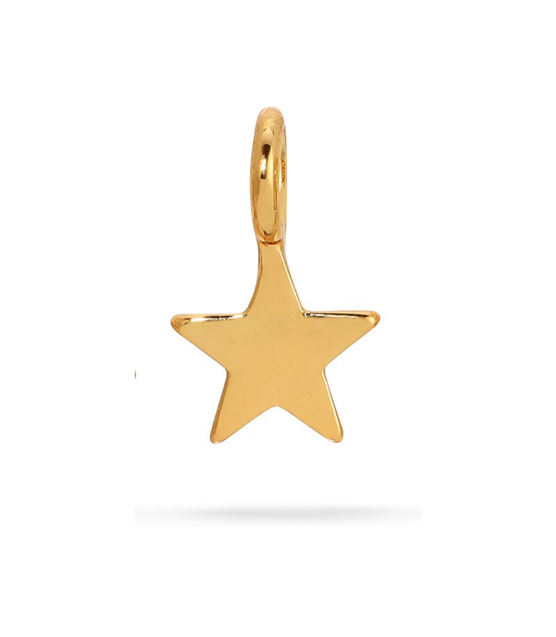 Charm Garden - - Star Charm