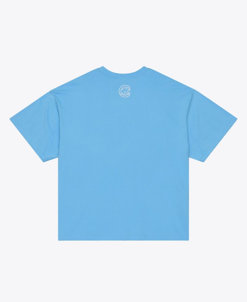 Men's Light Blue Chicago Cubs Insignia Premium T-Shirt