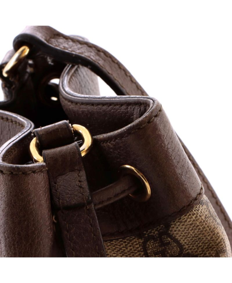 Mini Ophidia Bucket Bag GG Coated Canvas