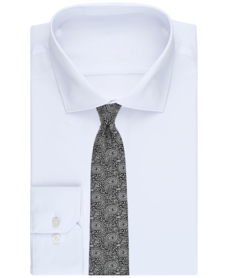 Men's Luma Paisley Tie