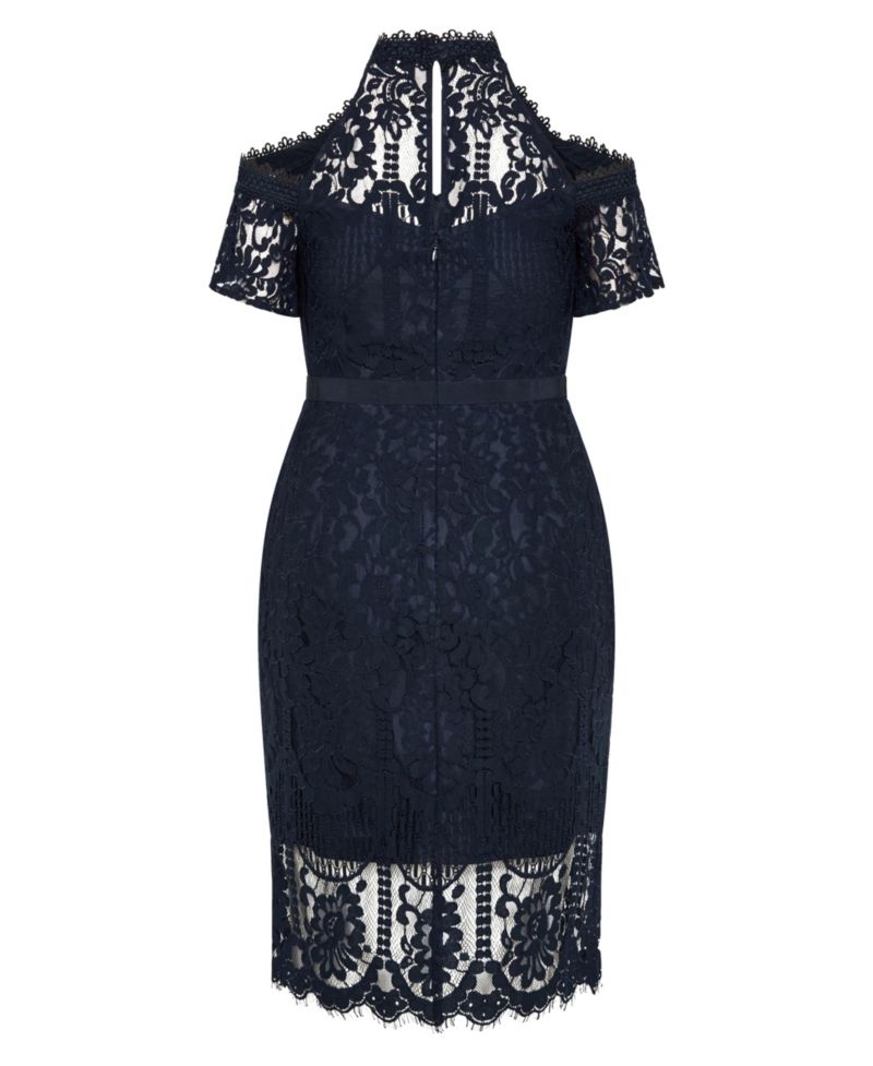 Plus Size Pippa Lace Dress