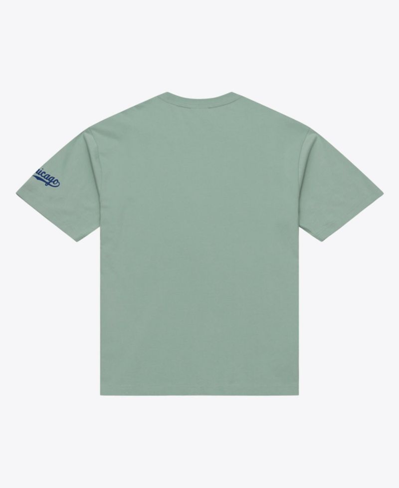 Men's Green Chicago Cubs Yacht Rock T-Shirt