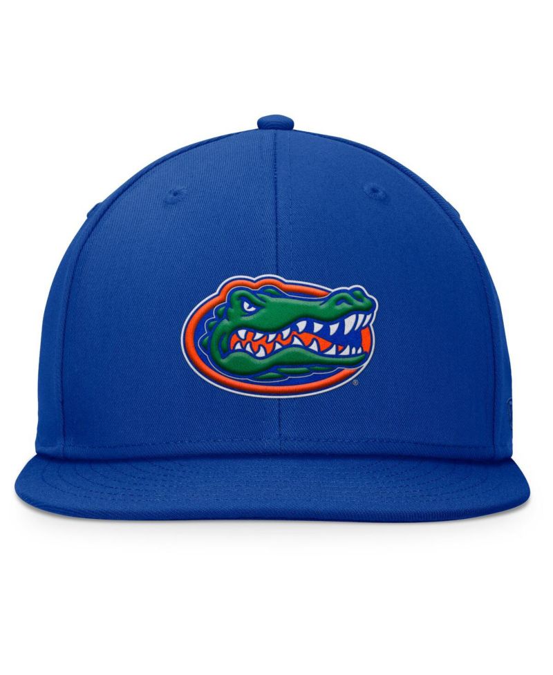 Men's Royal Florida Gators Fundamental Snapback Hat