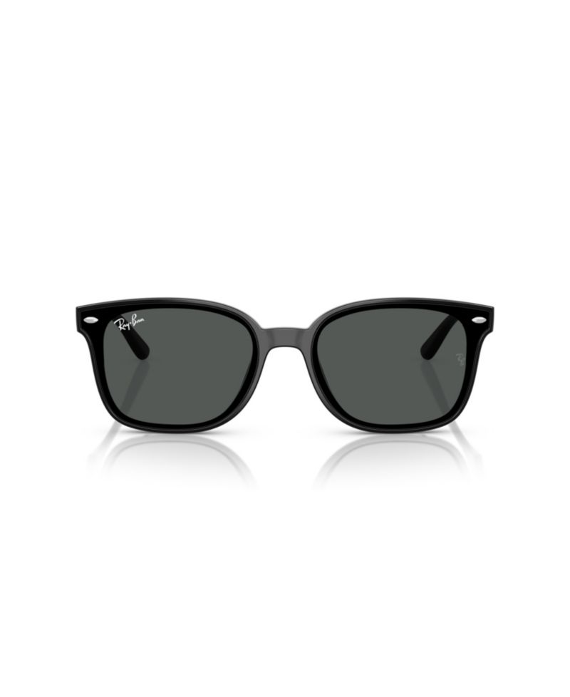 Rectangle Low-Bridge Sunglasses RB4461D