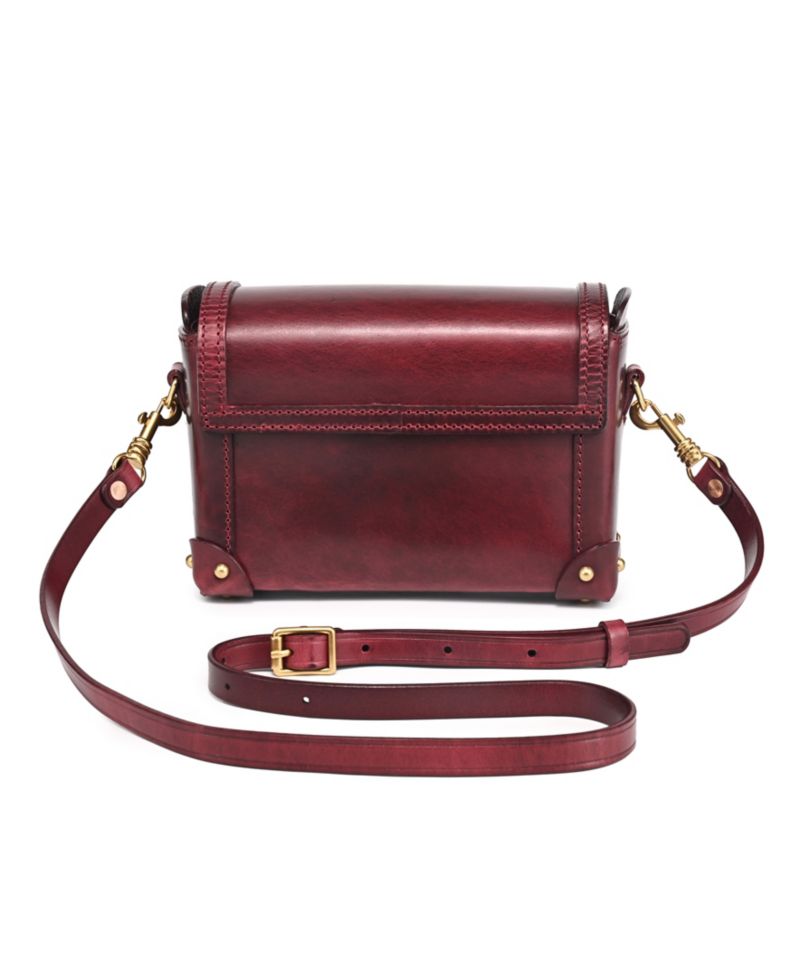Azalea Vintage Case Crossbody Bag