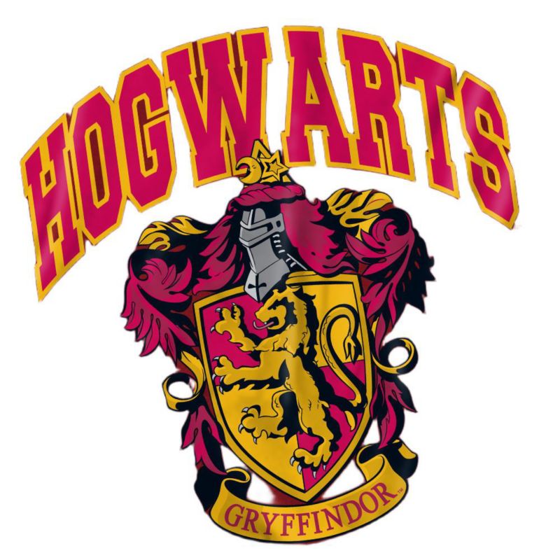 Men's Hogwarts Gryffindor T Shirt